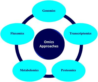 Microbial Biodiversity and Bioremediation Assessment Through Omics Approaches